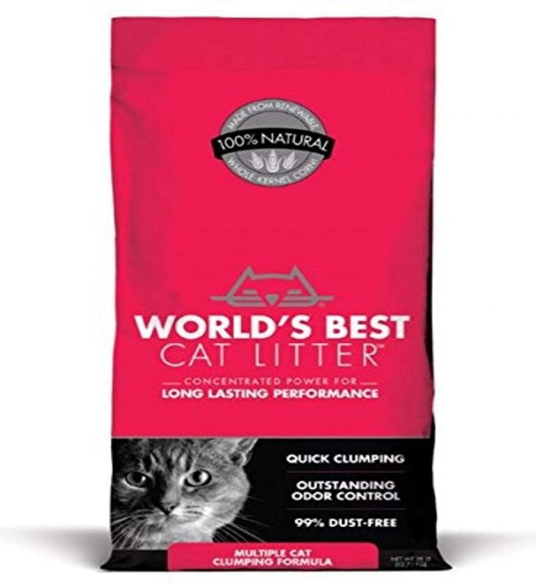 Best Dust Free Cat Litter To Buy in 2023 Best Cat Foods Advisor