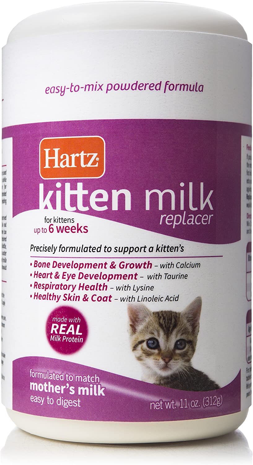 Introducing Wet Cat Food to Kittens (Quick Guide) - Cat Food Advisor