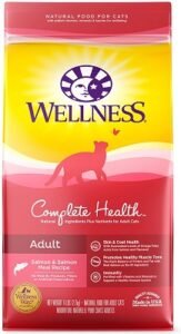 Wellness complete health adult cat